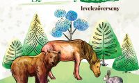 HagyományOKOS levelezőverseny a 2024-2025-ös tanévben is
