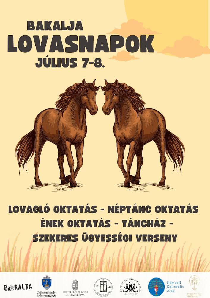 bakalja lovasnapok plakat