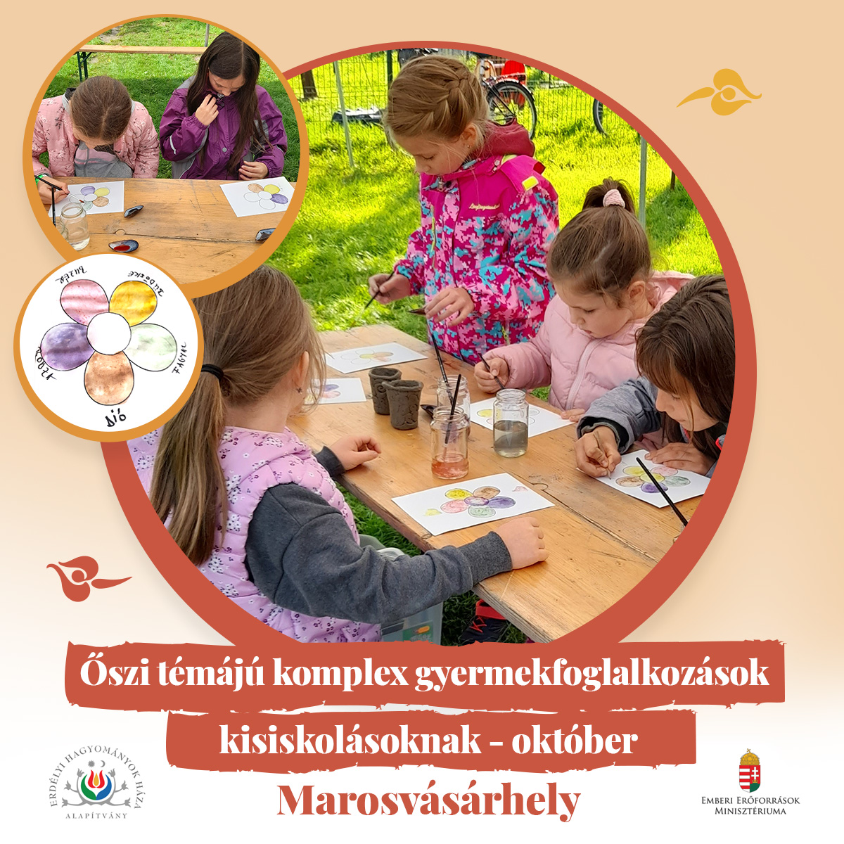komplex gy f vasarhely 10